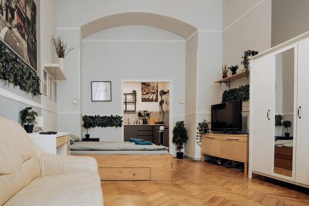 Big Apartment In The City Centre ブダペスト エクステリア 写真
