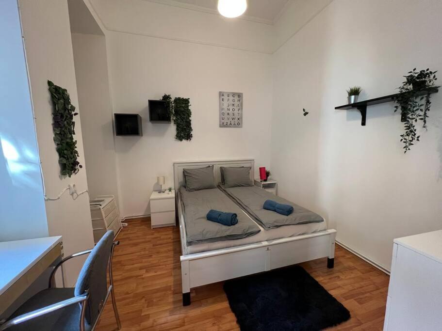 Big Apartment In The City Centre ブダペスト エクステリア 写真