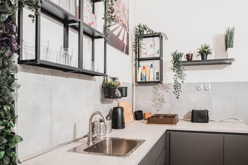 Big Apartment In The City Centre ブダペスト エクステリア 写真