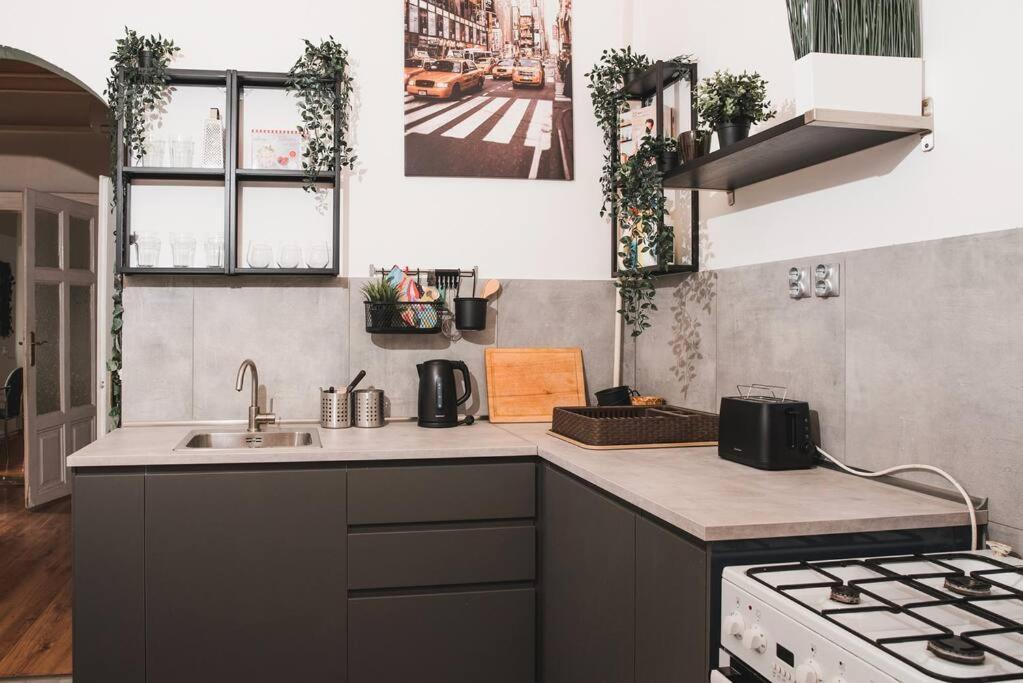 Big Apartment In The City Centre ブダペスト エクステリア 写真